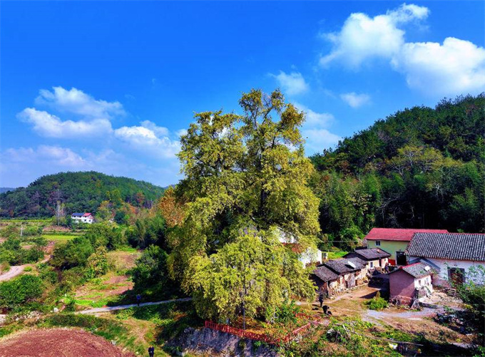 4f909aeb-eab9-42f9-a02b-141a71559555 (8).jpg 4f909aeb-eab9-42f9-a02b-141a71559555 (8).jpg